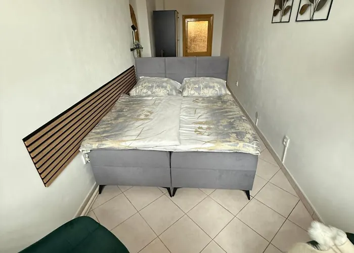 Apartman Green 公寓